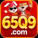 65q9 65q9