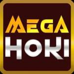 megahoki megahoki