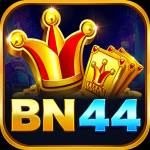bn4 bn4