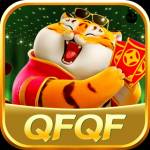 qfqf qfqf