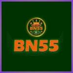 bn55 bn55