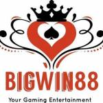 bigwin88 bigwin88